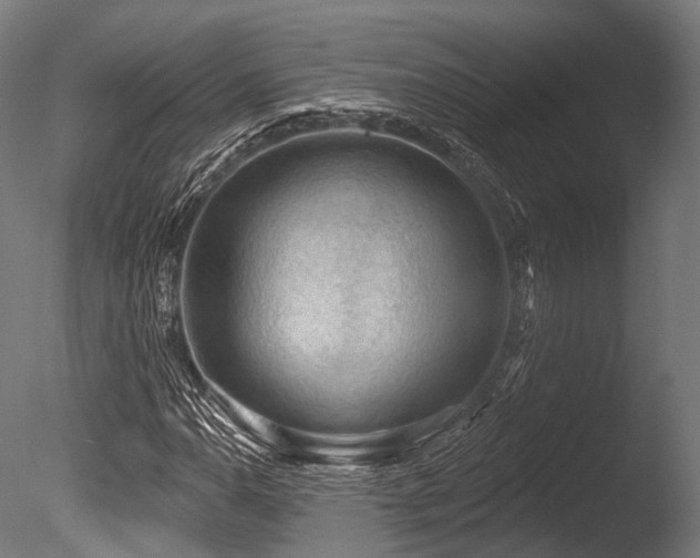 X0000086001110200703231137