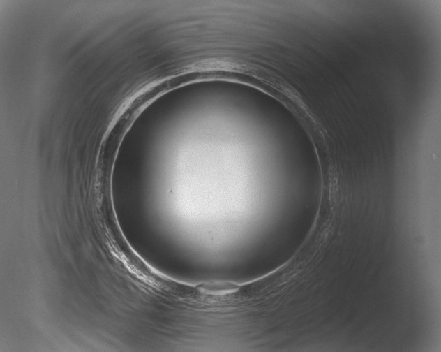 X0000086001116200703231138