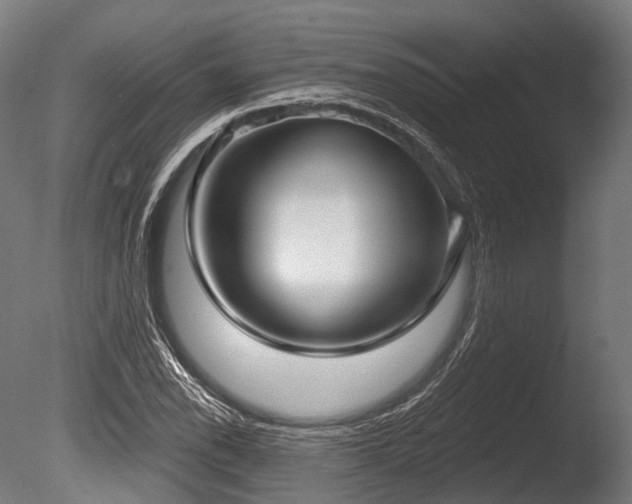 X0000086001118200703231138