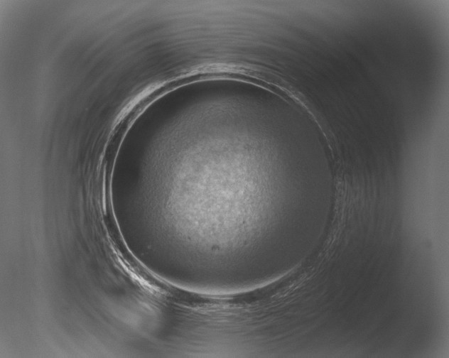 X0000086001127200703231138