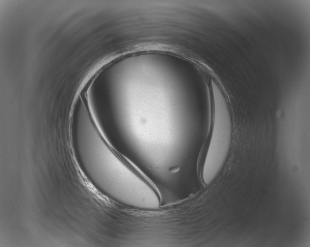 X0000086001140200703231138