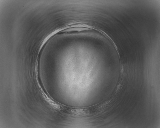 X0000086001149200703231138