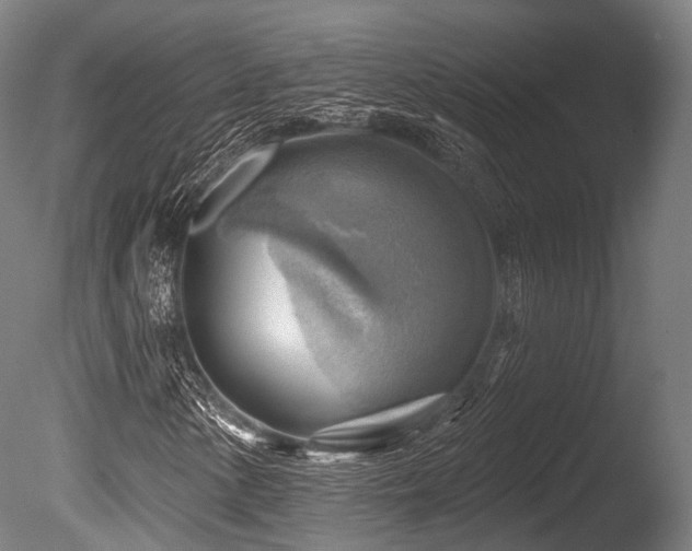 X0000086001154200703231137