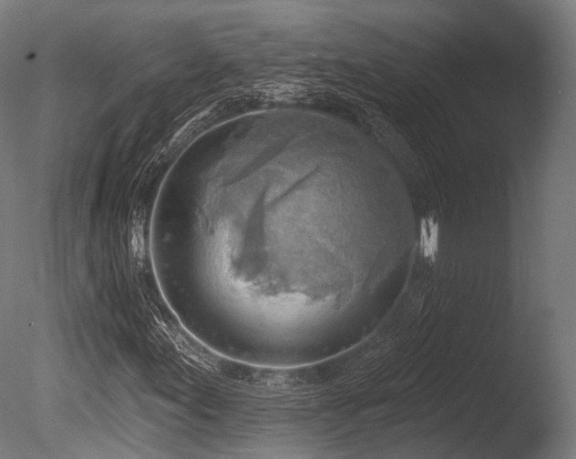 X0000086001155200703231137