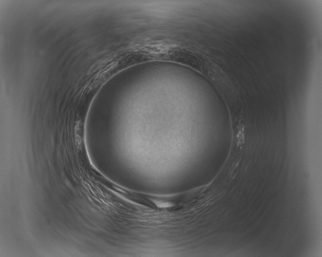 X0000086001156200703231137