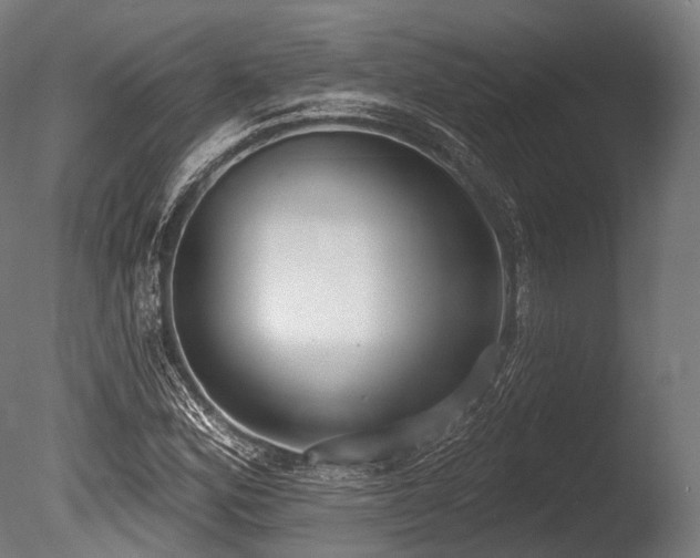 X0000086001164200703231137