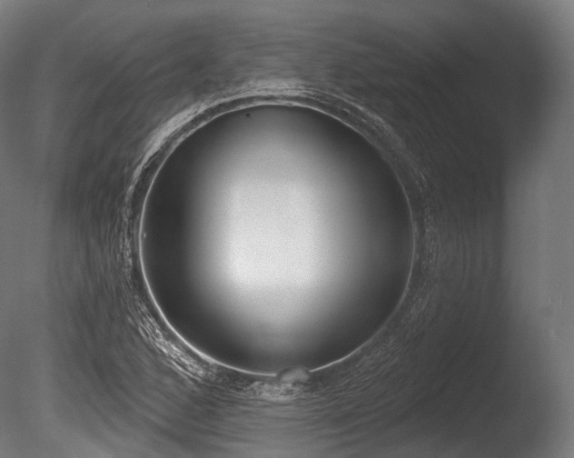 X0000086001168200703231137