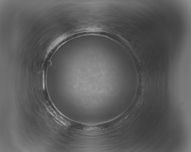 X0000086001171200703231137