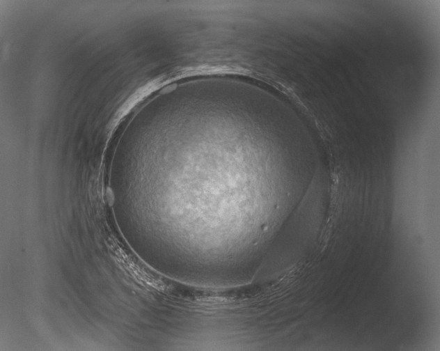X0000086001173200703231137