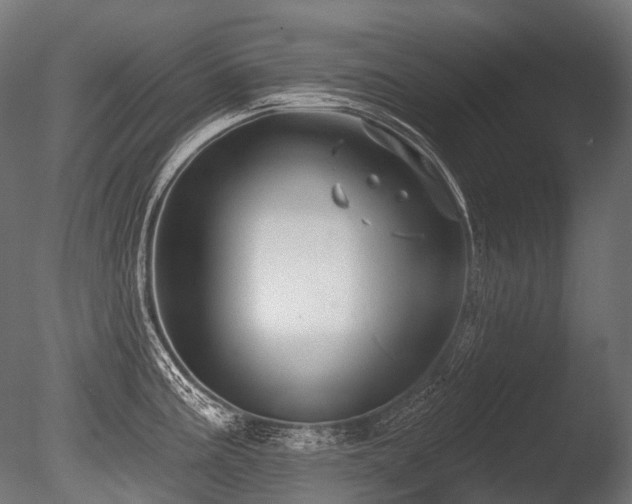 X0000086001195200703231137