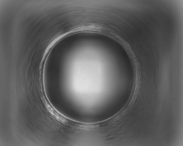 X0000086001200200703231137