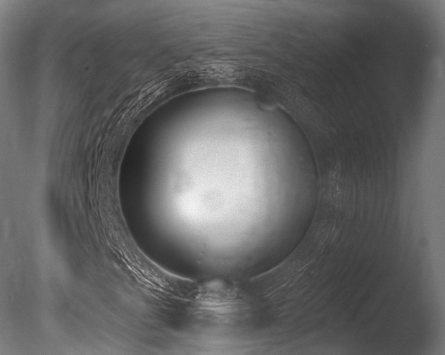 X0000086001201200703231136
