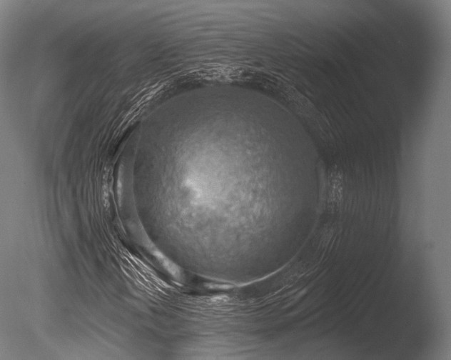 X0000086001202200703231136