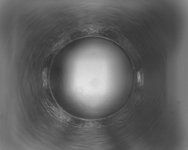 X0000086001203200703231136
