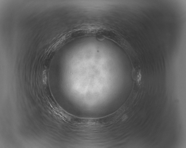X0000086001204200703231136