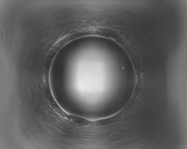 X0000086001206200703231136