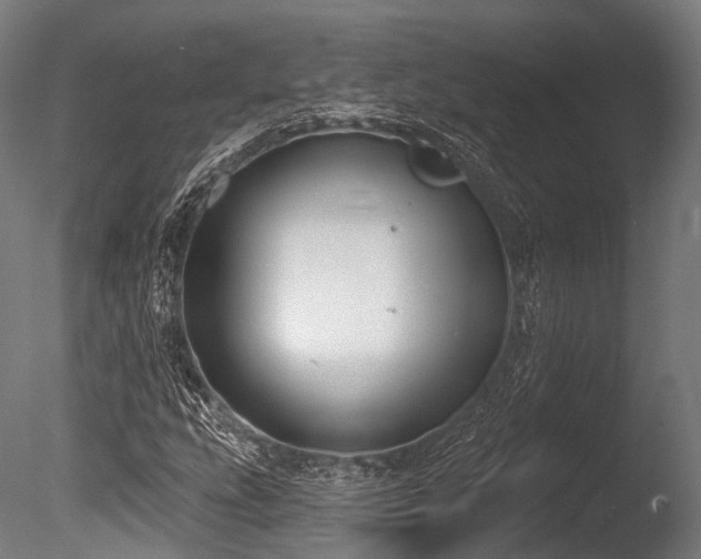 X0000086001207200703231136