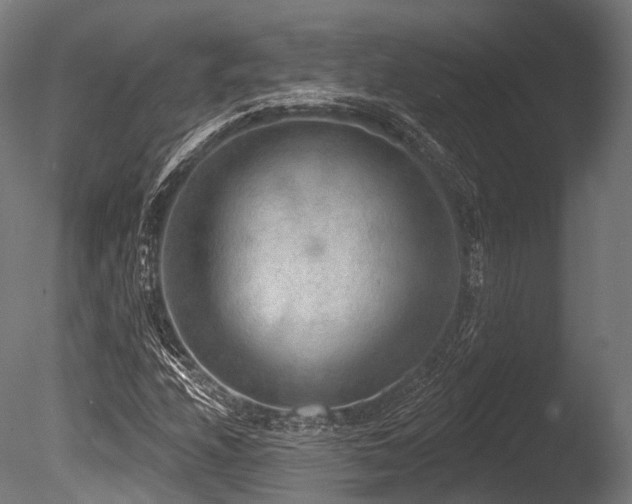 X0000086001208200703231136