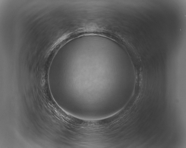 X0000086001213200703231136
