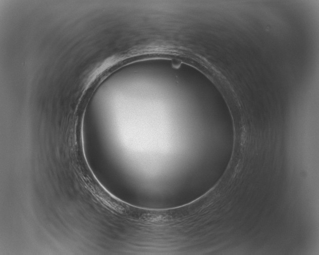 X0000086001222200703231136