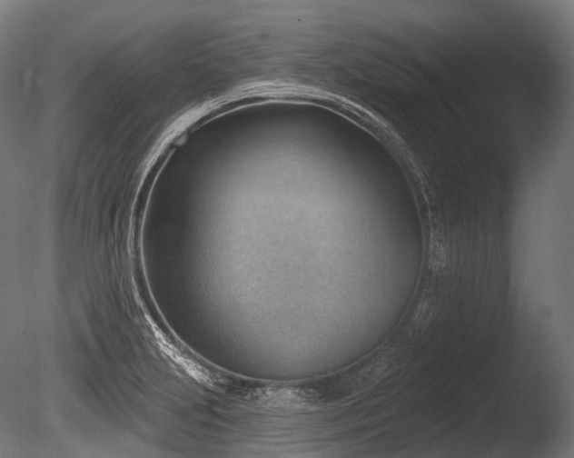 X0000086001231200703231136