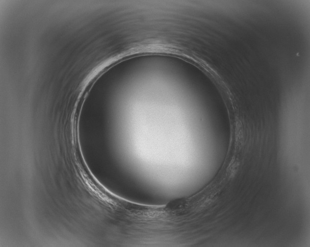 X0000086001238200703231136