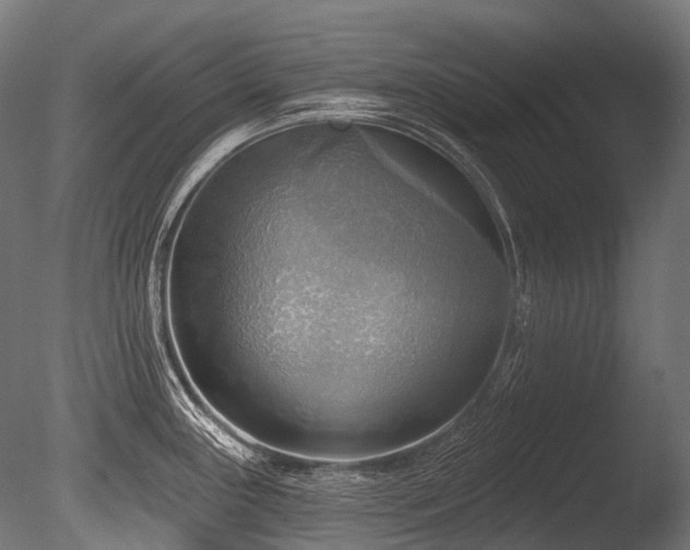 X0000086001243200703231136
