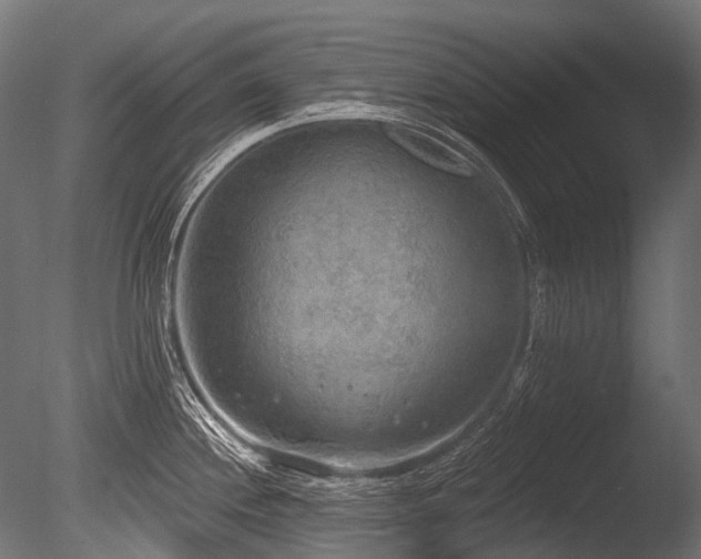 X0000086001244200703231136