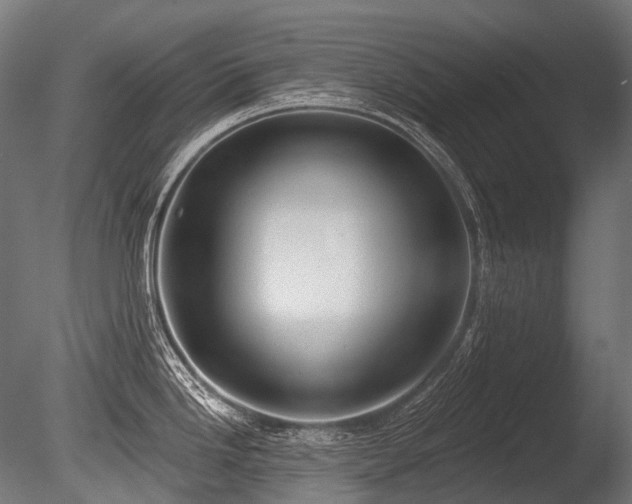 X0000086001246200703231137