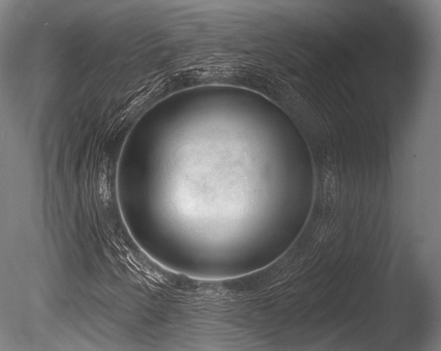 X0000086001250200703231136