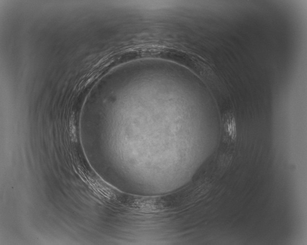X0000086001252200703231136