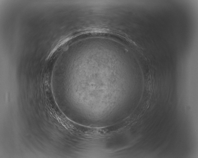X0000086001255200703231136