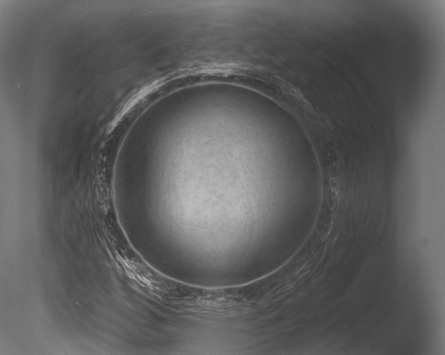 X0000086001256200703231136