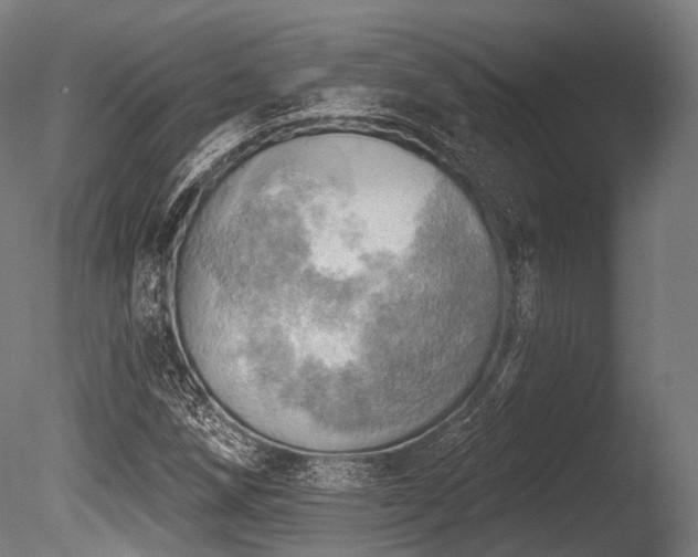 X0000086001258200703231136