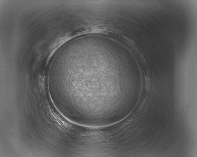 X0000086001260200703231136
