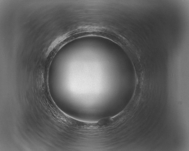X0000086001261200703231136
