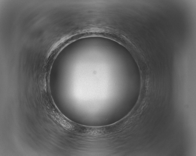 X0000086001262200703231135