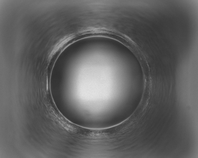X0000086001269200703231135