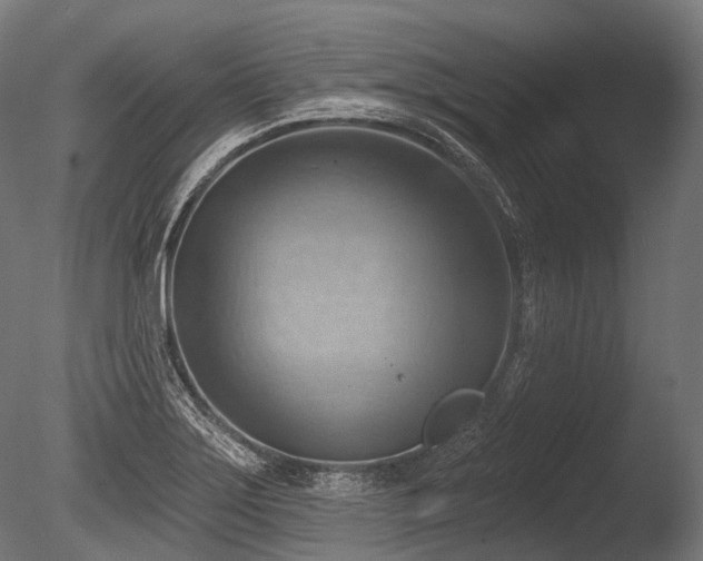 X0000086001275200703231135
