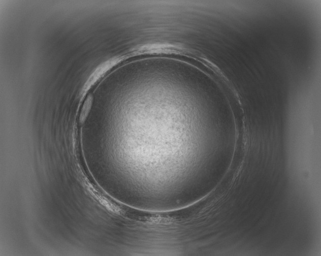 X0000086001277200703231135