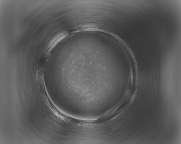 X0000086001289200703231135