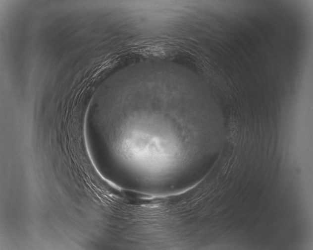 X0000086001297200703231134