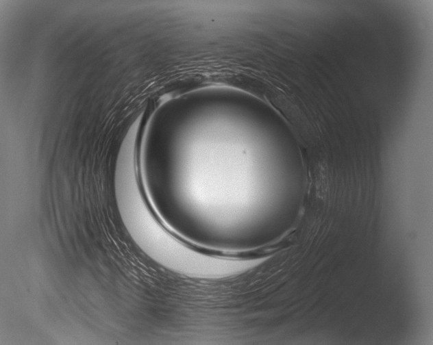 X0000086001298200703231134
