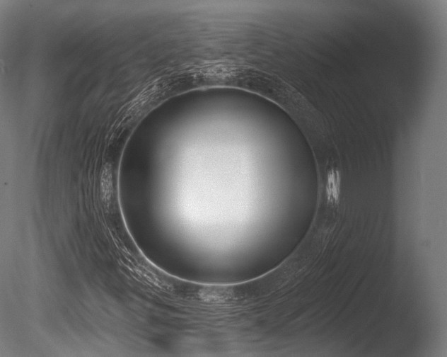 X0000086001299200703231134