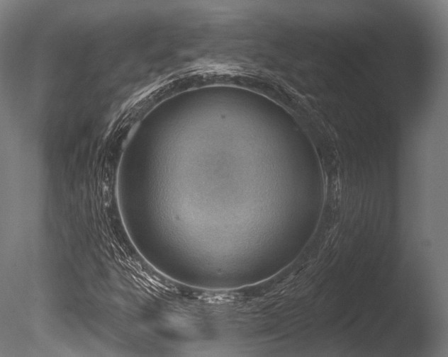 X0000086001303200703231134