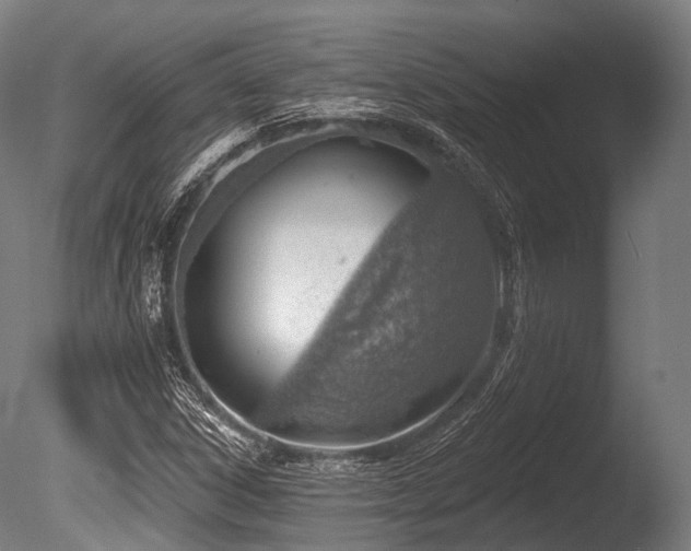 X0000086001306200703231134