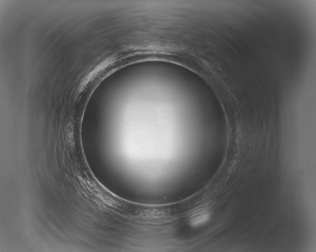 X0000086001307200703231134