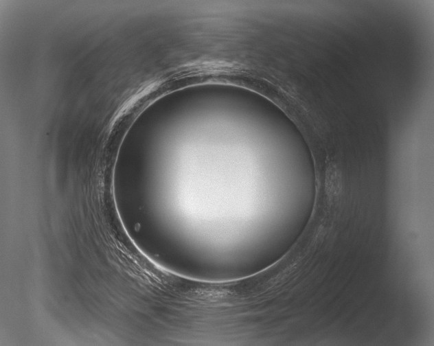 X0000086001309200703231134