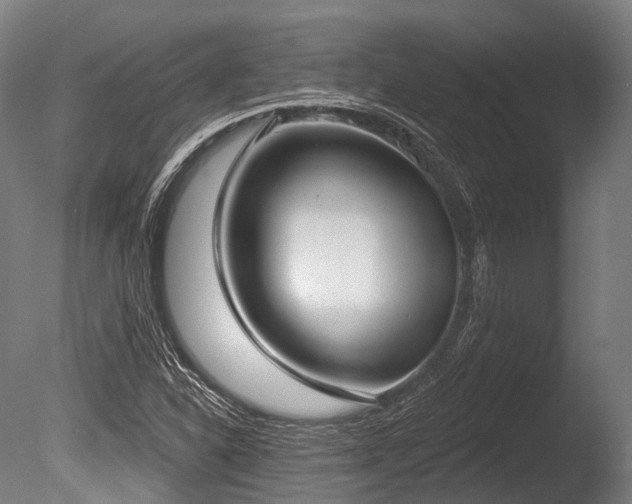 X0000086001310200703231134