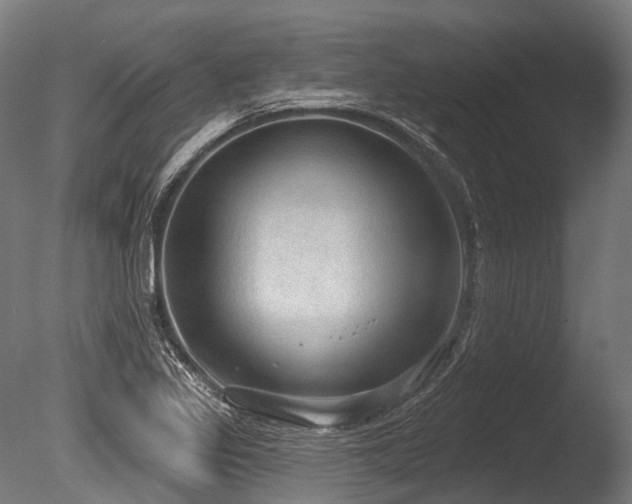 X0000086001317200703231134